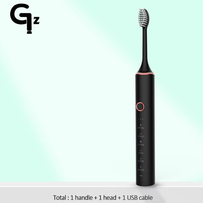 Sonic Electric Toothbrush with Replacement Heads