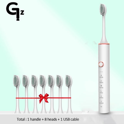 Sonic Electric Toothbrush with Replacement Heads