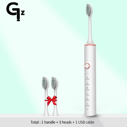 Sonic Electric Toothbrush with Replacement Heads